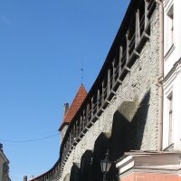 Стена крепостная :: Владислав Плюснин