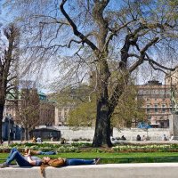 весна в Стокгольме :: Елена 
