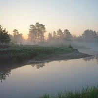 Перед восходом солнца в долине реки Гусь :: Сергей Курников
