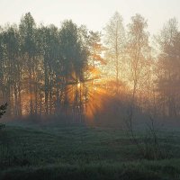 Восход солнца в долине реки Гусь :: Сергей Курников