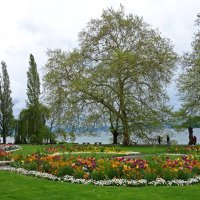 Майнау-остров цветов на Боденском озере! :: Galina Dzubina