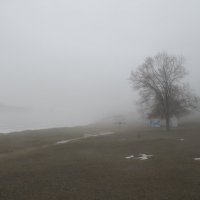 про туман :: Елена Шаламова