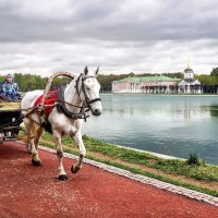 В усадьбе :: Лариса Фёдорова