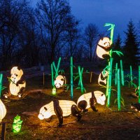Выставка китайских фонарей. Весёлые панды. :: Андрей Нибылица
