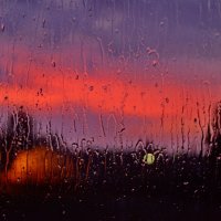 Весенний дождь :: Валерий Толмачев