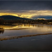 Половодье :: Владимир Чикота 