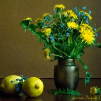 Одуванчики и лимоны :: Лидия Суюрова