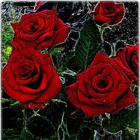 В мире красных роз :: Нина Корешкова