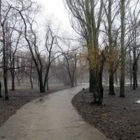 апрель,парк,дождь :: Елена Шаламова