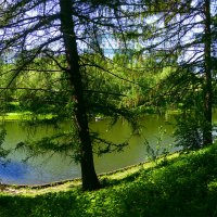 Царицыно пруд :: Андрей Мелехов 