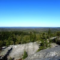 Национальный парк Коли (Финляндия, Северная Карелия). Вид с вершины Акка-Коли (Akka-Koli) :: Елена Павлова (Смолова)