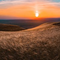 Ковыльное плато :: Фёдор. Лашков