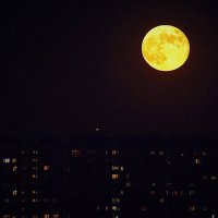 Огромная Луна :: Ольга (crim41evp)
