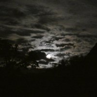 Лунный свет и облака :: Heinz Thorns