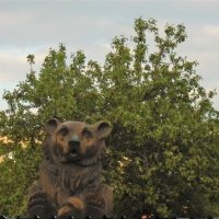 медведь :: ольга хакимова