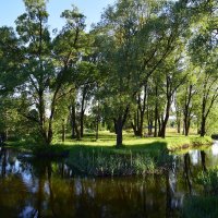 Корочанский парк Белгородская область :: Елена Иванова