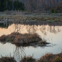 Островок... :: Влад Никишин