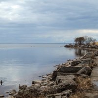 Зеленогорск. Устье Чёрной Речки. :: Лариса (Phinikia) Двойникова