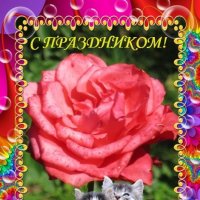 С праздником! :: Дмитрий Никитин