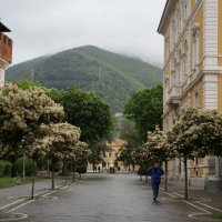 Nella sitta di Carrara ... :: Алёна Савина