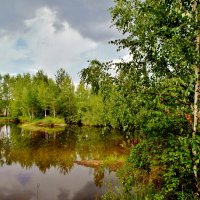 лесной пруд :: Владимир 