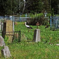 Старое кладбище :: Евгений Кочуров