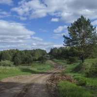 Вечерняя дорога :: Роман Пацкевич