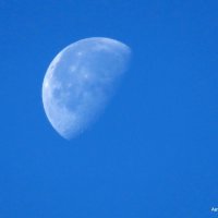 Луна на утренем небе. :: Валерьян Запорожченко