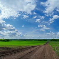 Почти все дороги приводят к выводу о том, что пути Господни неисповедимы.. :: Андрей Заломленков