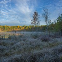 В осенний восход на лесном озере Свято. :: Igor Andreev