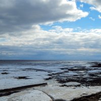 Зеленогорск. Устье Чёрной Речки. :: Лариса (Phinikia) Двойникова