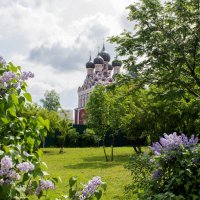 Тихвинский храм в  Алексеевском :: Елена Аксамит