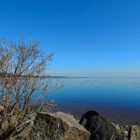 Зеленогорск. Устье Чёрной Речки. :: Лариса (Phinikia) Двойникова