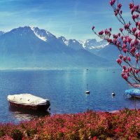 Женевское озеро :: Elena Wymann