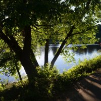 Великие Луки. Летний вечер на Ловати... :: Владимир Павлов