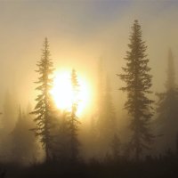 Восход в тумане :: Сергей Чиняев 