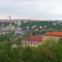 Flora и Прага 10 :: Сергей Беляев