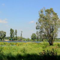 Белгородчина. У пруда. :: Наталья Лунева 