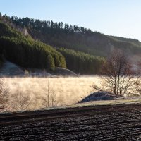 Прохладное утро :: Андрей Щетинин