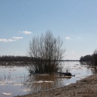 Прогулка по берегу Бии. Апрель. :: Олег Афанасьевич Сергеев