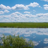 релакс :: Александр Солуянов