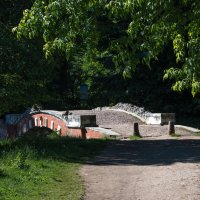 Кузьминский парк. :: Владимир Безбородов