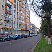 ВЛАДИМИР ПРОВИНЦИАЛЬНЫЙ :: Валерий Викторович РОГАНОВ-АРЫССКИЙ