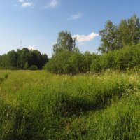 Любезное моему глазу и сердцу Абрамцево :: Андрей Лукьянов