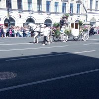 Фестиваль цветов на Невском проспекте. (Петербург). :: Светлана Калмыкова