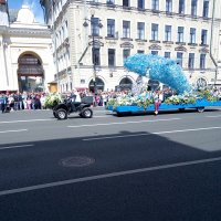 Международный фестиваль цветов в Петербурге. :: Светлана Калмыкова