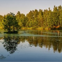 Озеро в лесу :: Андрей Дворников