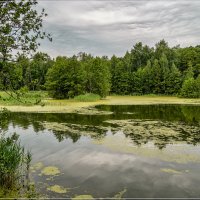 Озеро в лесу 2 :: Андрей Дворников