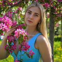 Цветущие сады :: Domovoi 