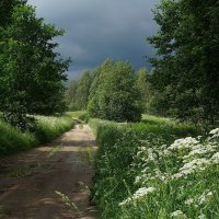 Дорога в деревню :: Владимир Гилясев